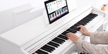 ZHRUNS Digital Piano