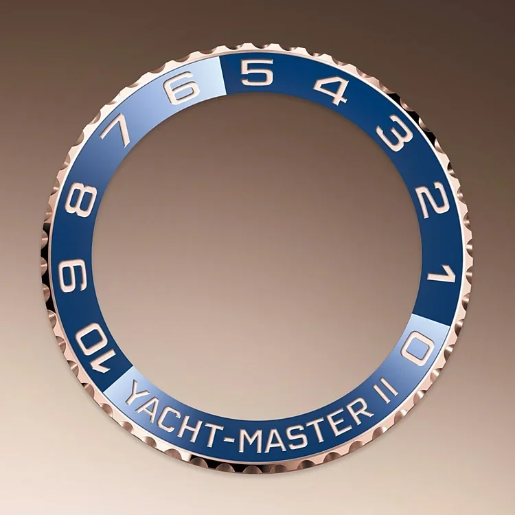 Rolex Yacht-Master in Oystersteel and gold, M116681-0002 | Zurich Watch