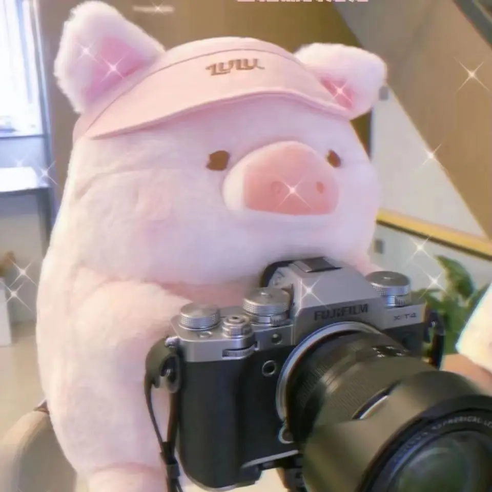 30CM Plush Toy LuLu Pig Doll Cute Pillow Wedding Valentine’s Day Children's Toys Gifts Stuffed Animal Patung Dolls