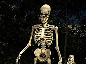 8&amp;amp;#39; animated skeleton halloween deocration with moving eyes