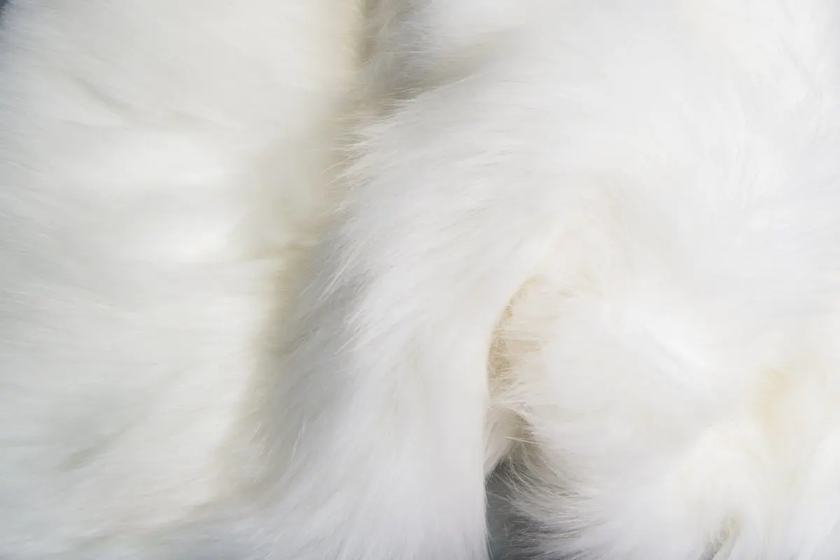 Siberian faux fur fabric, white - FakeFurShop.com