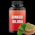 ginkgo biloba