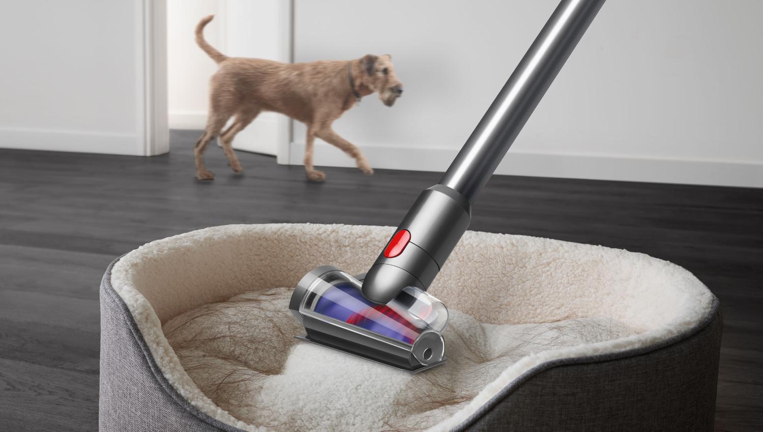 Dyson V15 Detect™ Absolute Vacuum Cleaners | Dyson SG