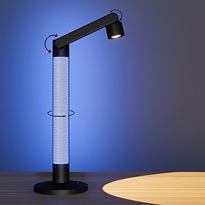 Swing Arm Desk Lamps