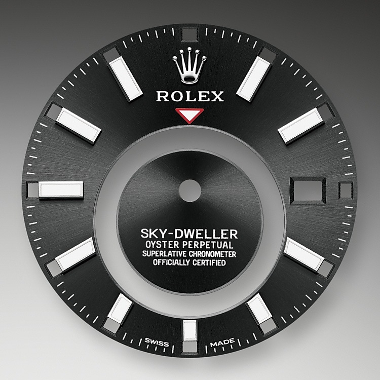 Rolex Sky-Dweller in Oystersteel, Oystersteel and gold, m326934-0005 | Europe Watch Company