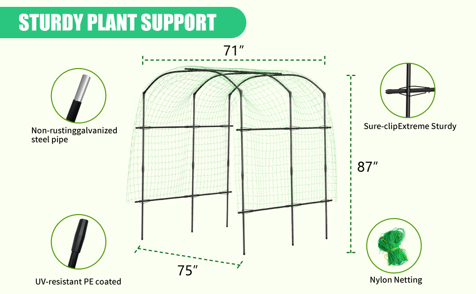 Garden Arch Trellis