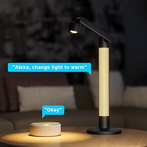 smart lamp works with Alexa