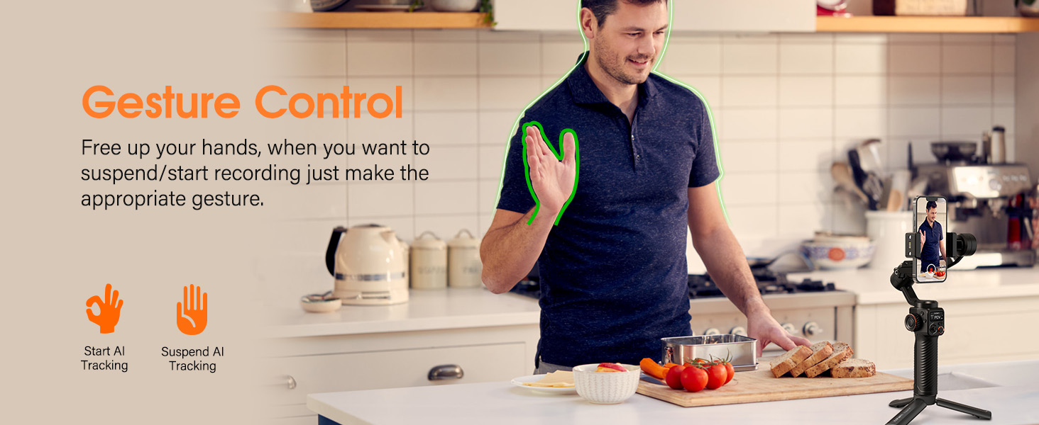 Gesture Control