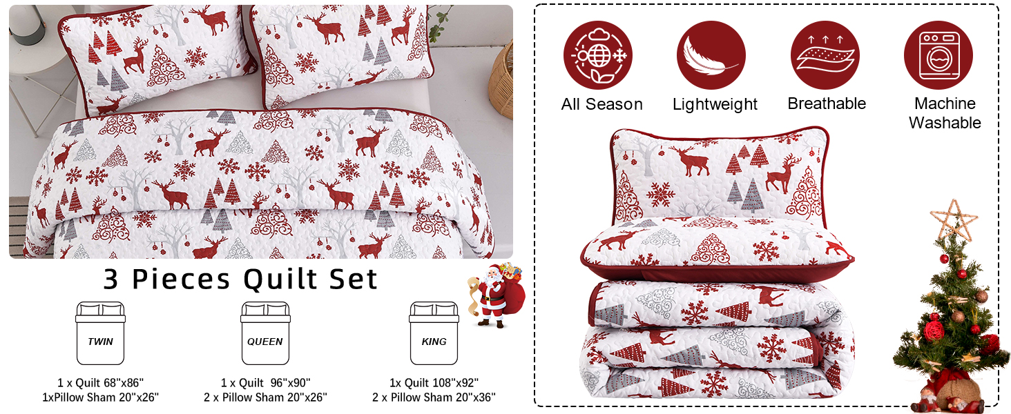 3 pieces Christmas quilt set