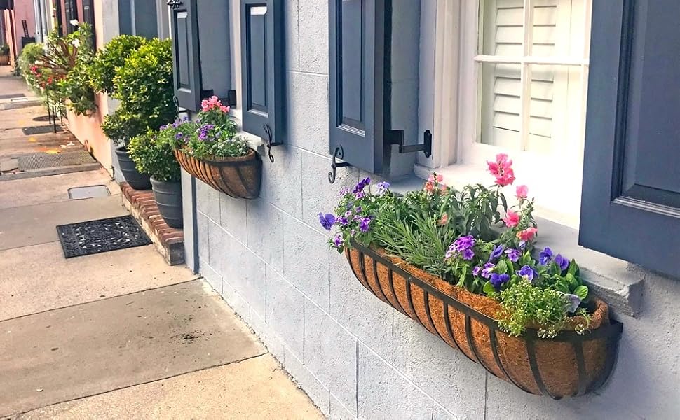 window boxes