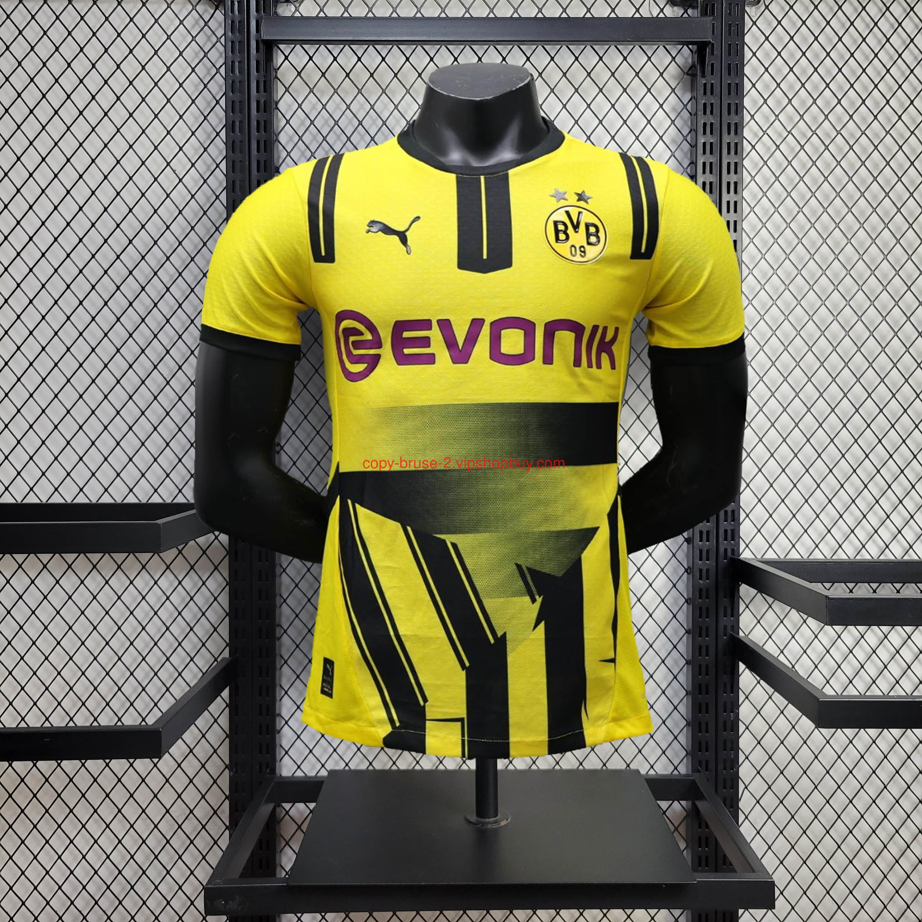 Dortmund 24-25 Cup Jersey - Player Version111
